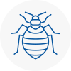 Bed Bug Extermination In Thorpe
