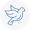 Bird Prevention Thorpe