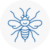 Thorpe Hornet Nest Removals