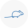 Mice Exterminators In Thorpe