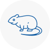 Rat Control Thorpe