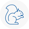 Thorpe Rodent Removals