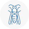 Thorpe Wasp Nest Removal